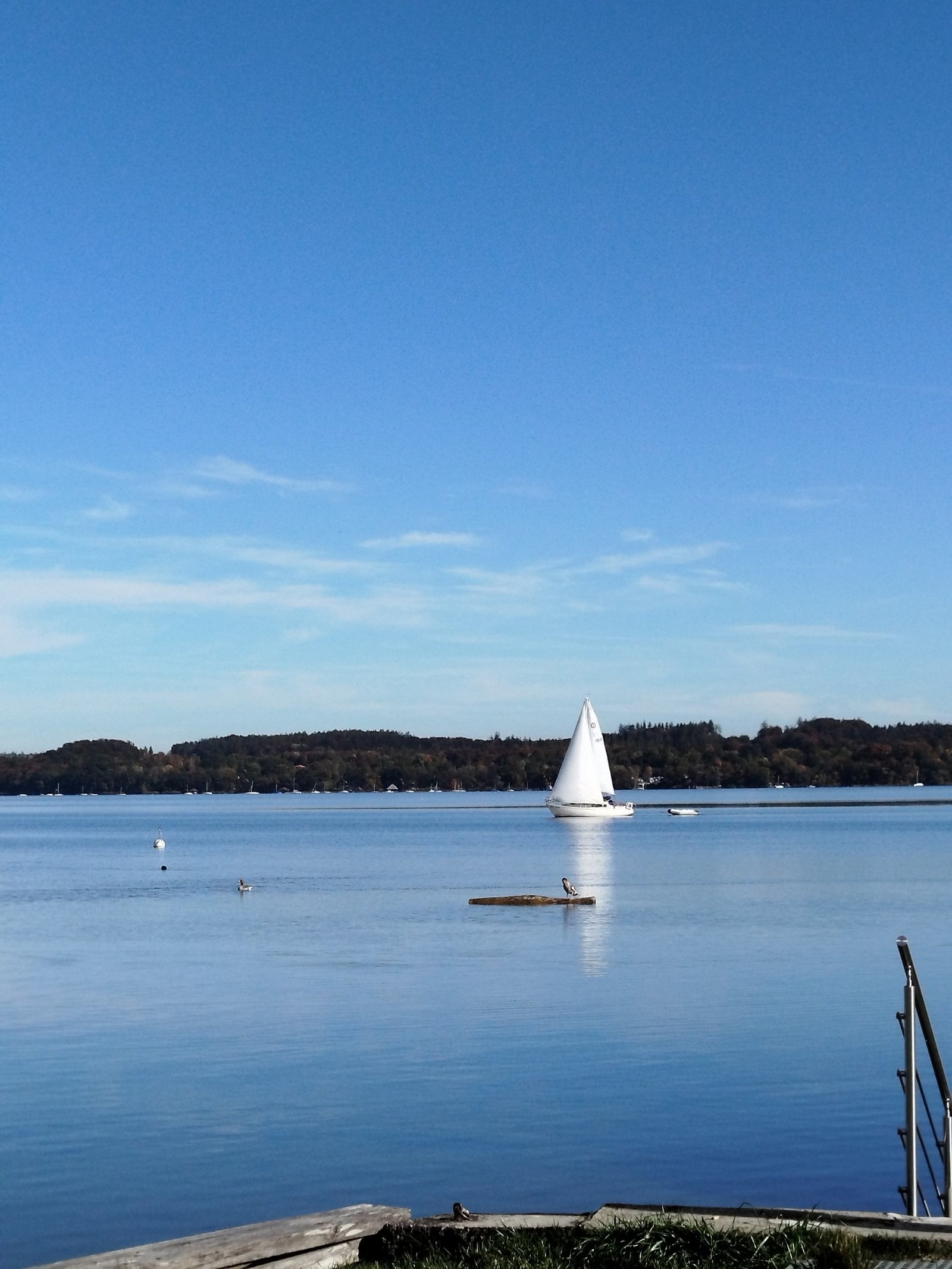 Segelboot mit Baumstamm am Ammersee